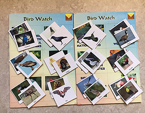 PP0177 Birds Watch